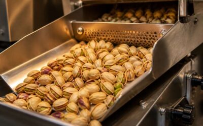 The pistachio nut maker every kitchen needs.